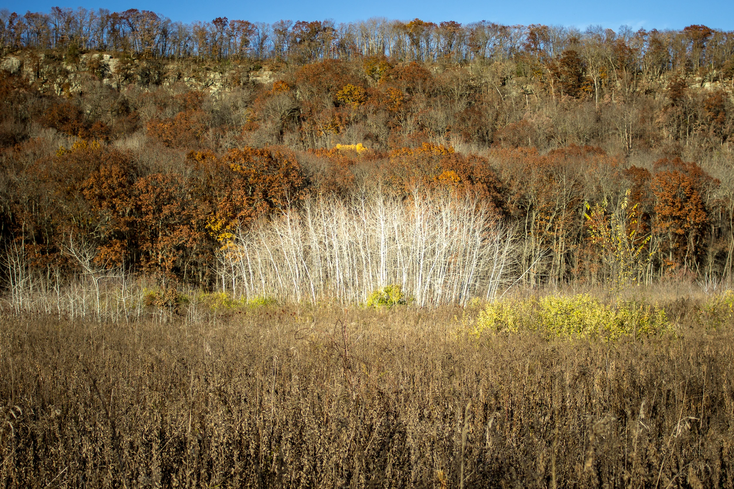 JUSTIN SPRECHER - Ice Age Trail - Devil's Lake Loop